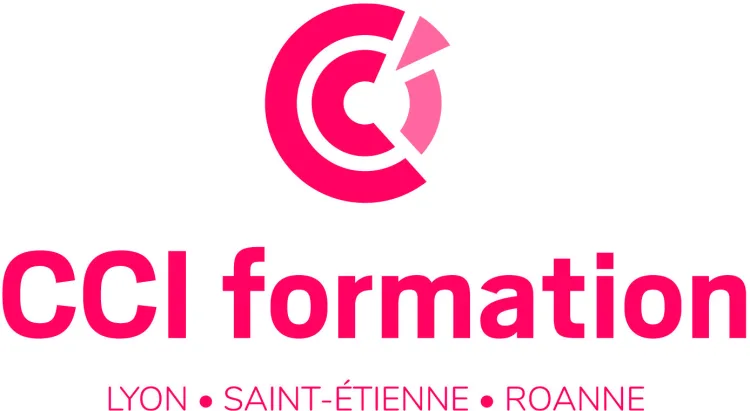 cci-formation-lyon-roanne